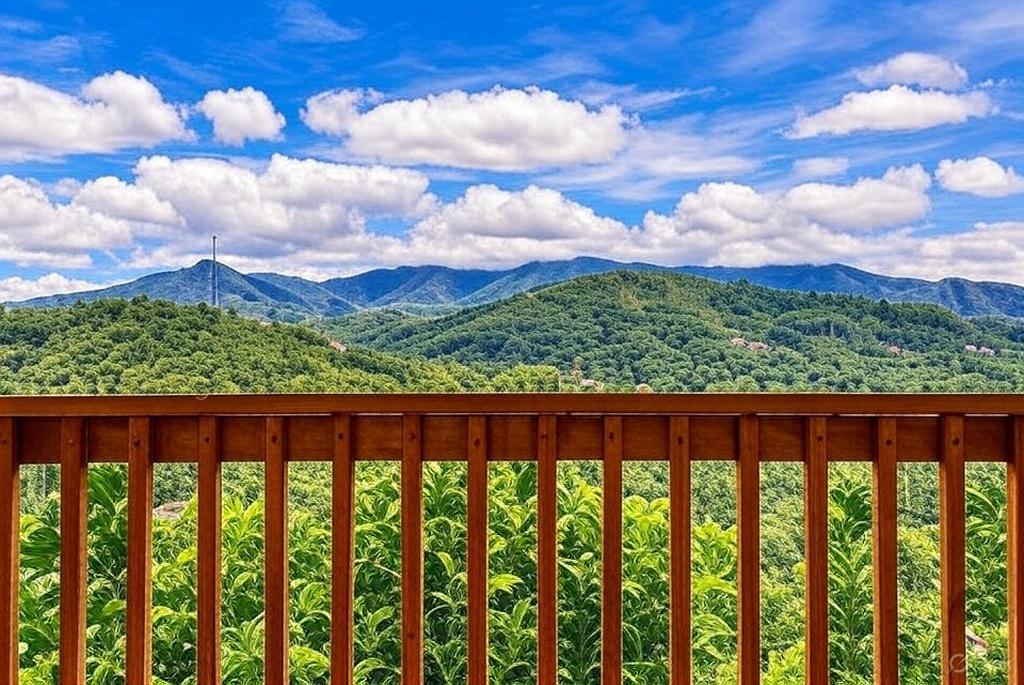 Great Smoky View