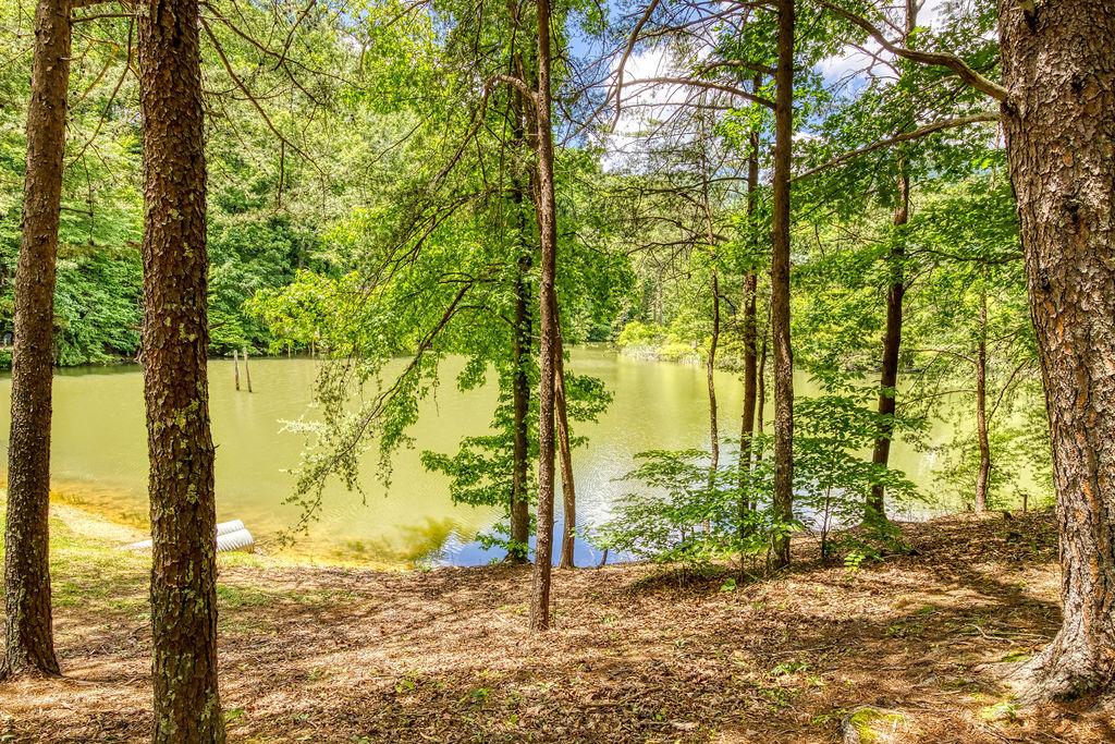 Hidden Mountain Dream - New Listing