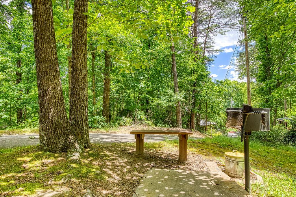 Hidden Mountain Dream - New Listing