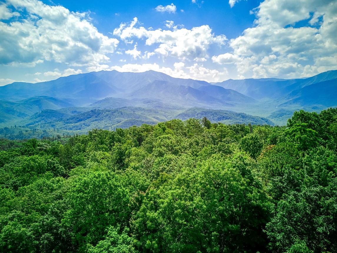 Dancing Bears Lodge - New Listing