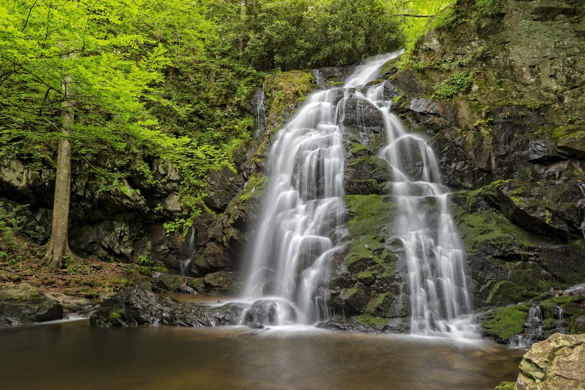 Smoky Mountain Escape - New Listing