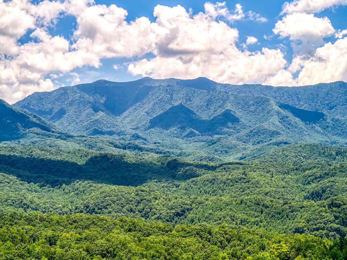 Smoky Mountain Escape - New Listing
