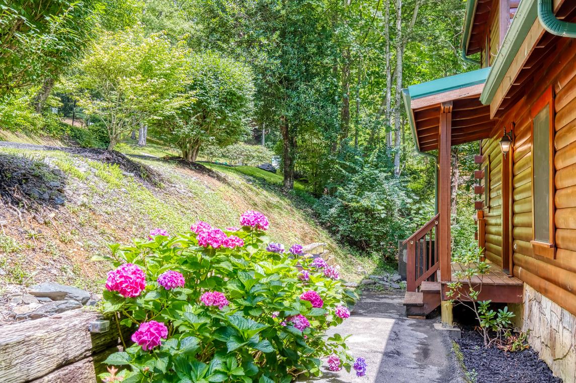 Smoky Mountain Escape - New Listing