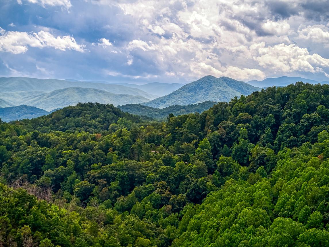 Mountain Spirit - New Listing