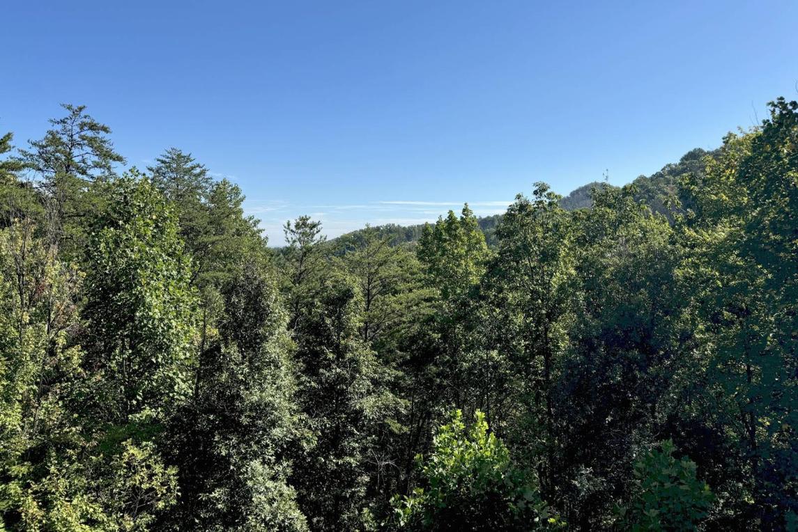 Mountain Spirit - New Listing