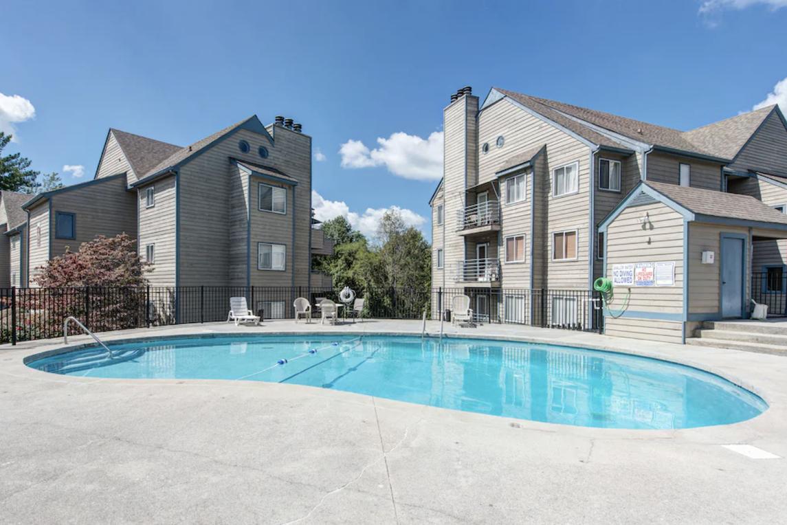 Cozy Bear Condo - New Listing