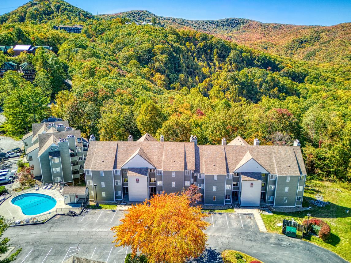 Cozy Bear Condo - New Listing