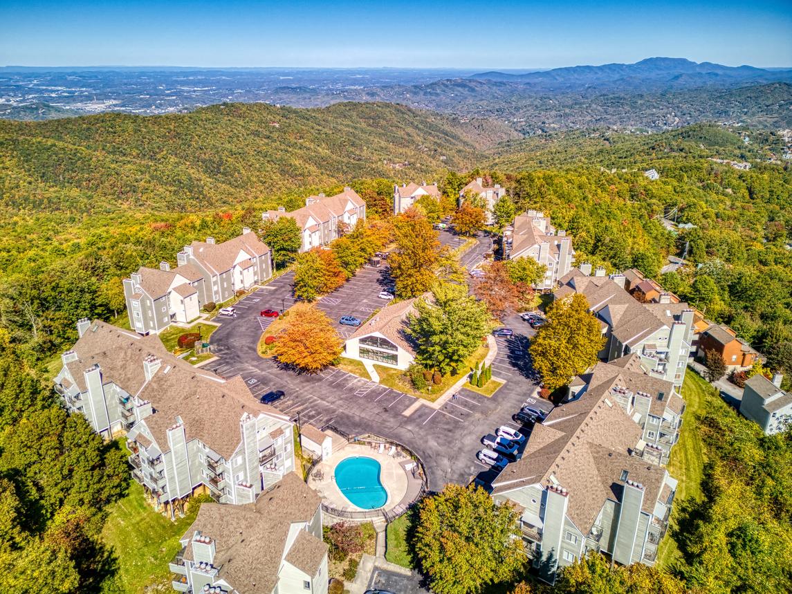 Cozy Bear Condo - New Listing