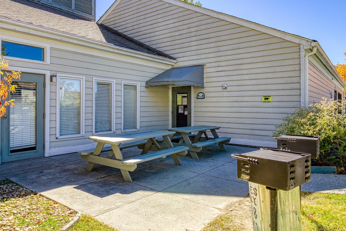 Cozy Bear Condo - New Listing