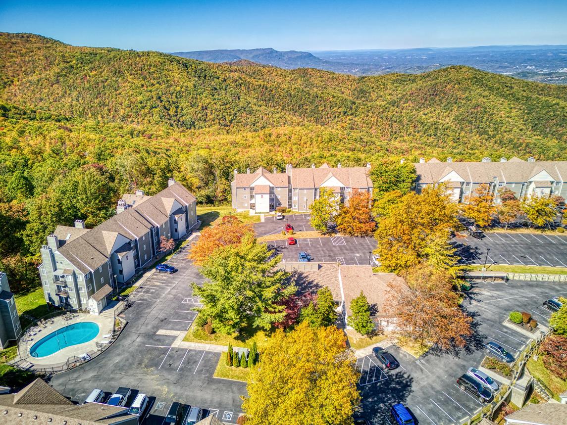 Cozy Bear Condo - New Listing