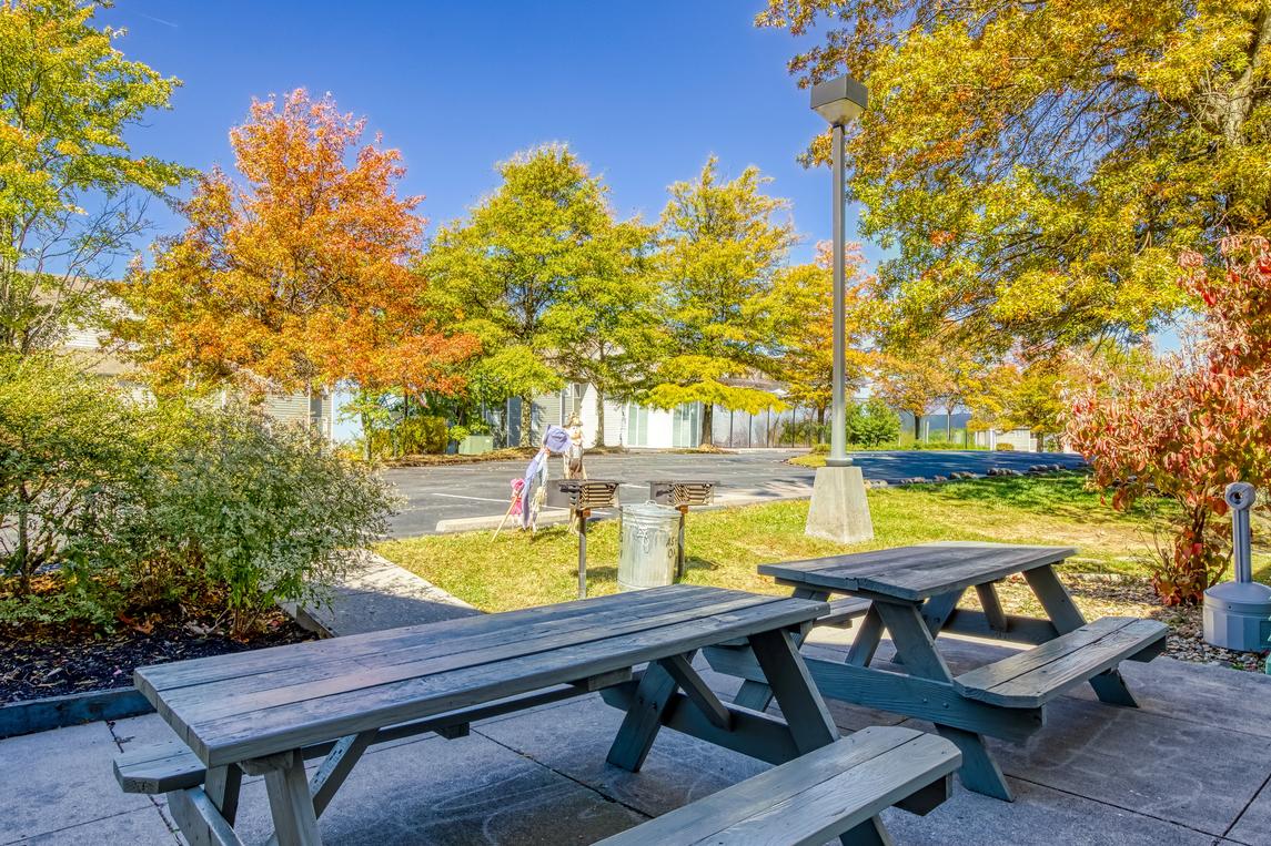 Cozy Bear Condo - New Listing