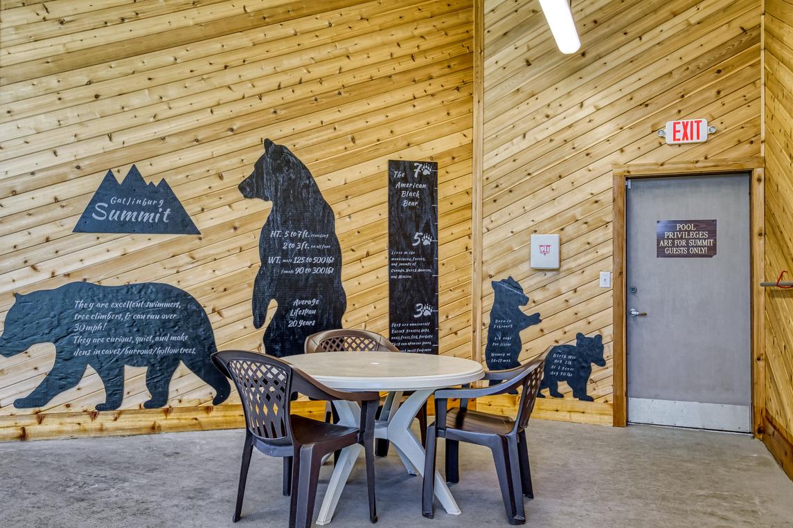 Cozy Bear Condo - New Listing