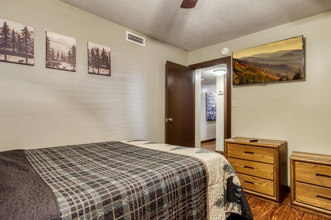 Cozy Bear Condo - New Listing