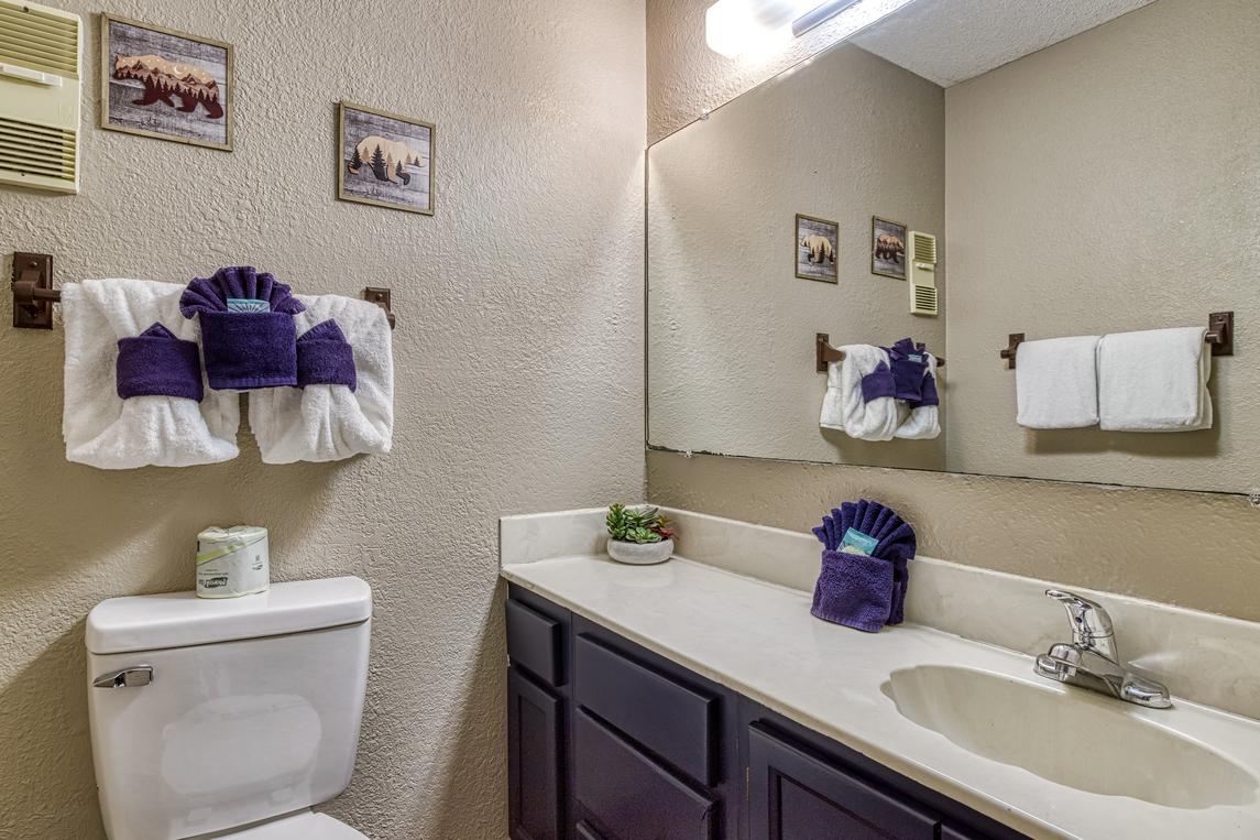 Cozy Bear Condo - New Listing