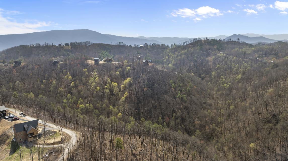 Ritzy Bear Lodge - New Listing