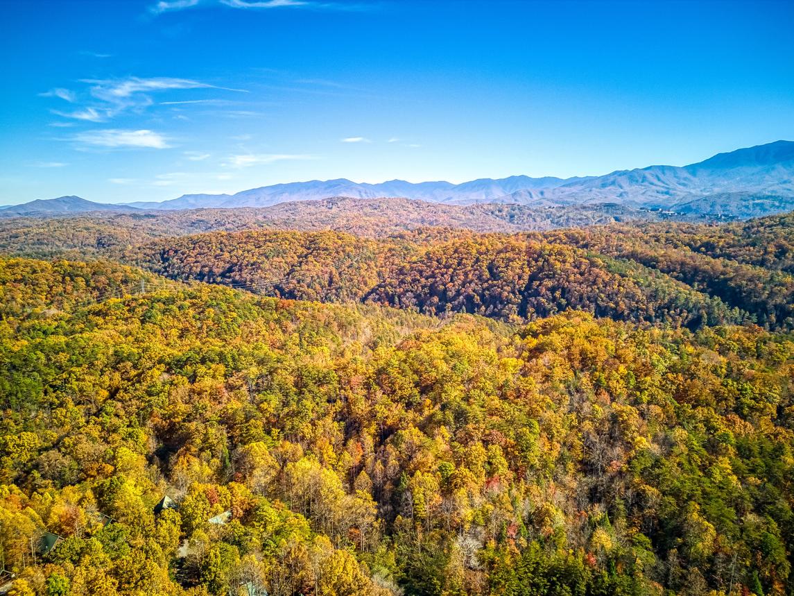 The Taj Ma Ya'll Splash