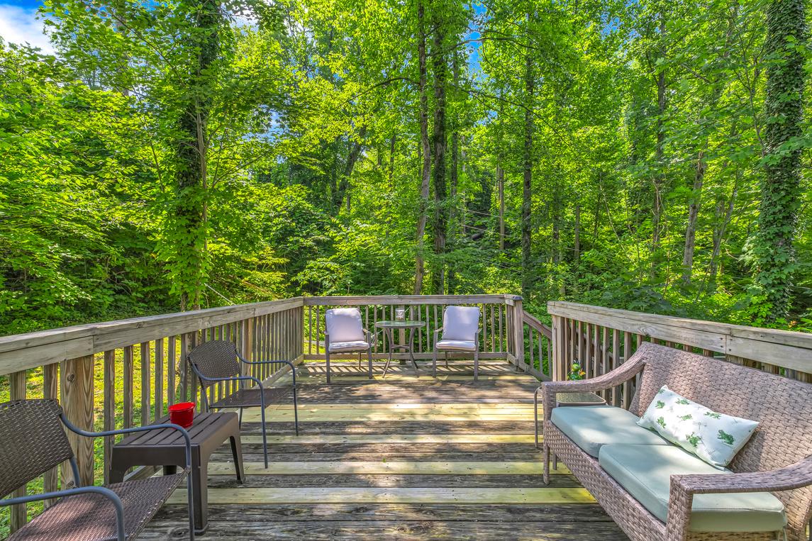 Bear Cub Retreat - New Listing