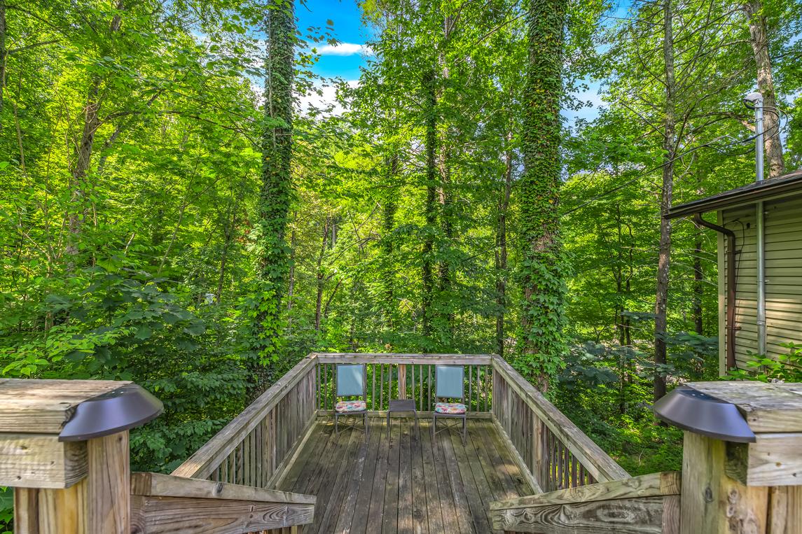 Bear Cub Retreat - New Listing