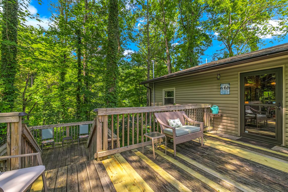 Bear Cub Retreat - New Listing
