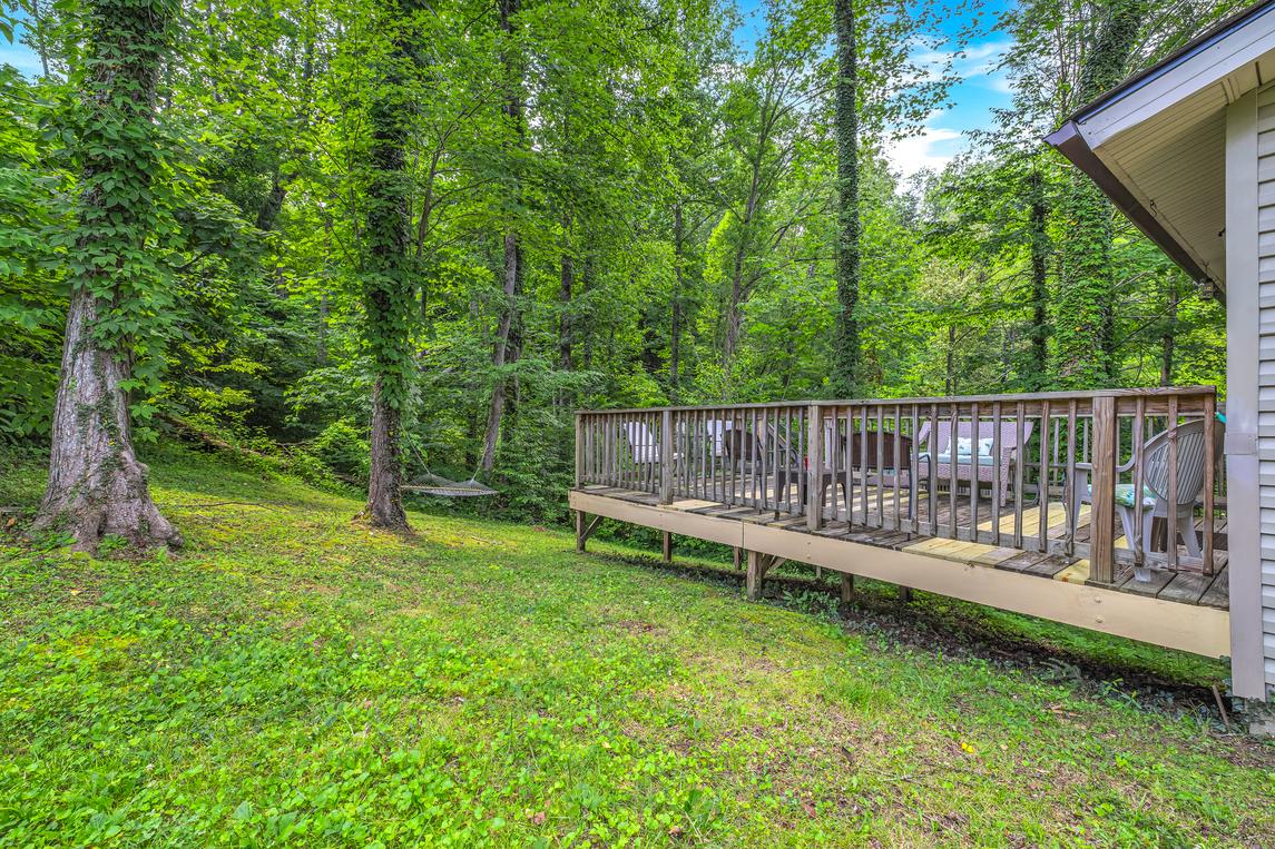 Bear Cub Retreat - New Listing