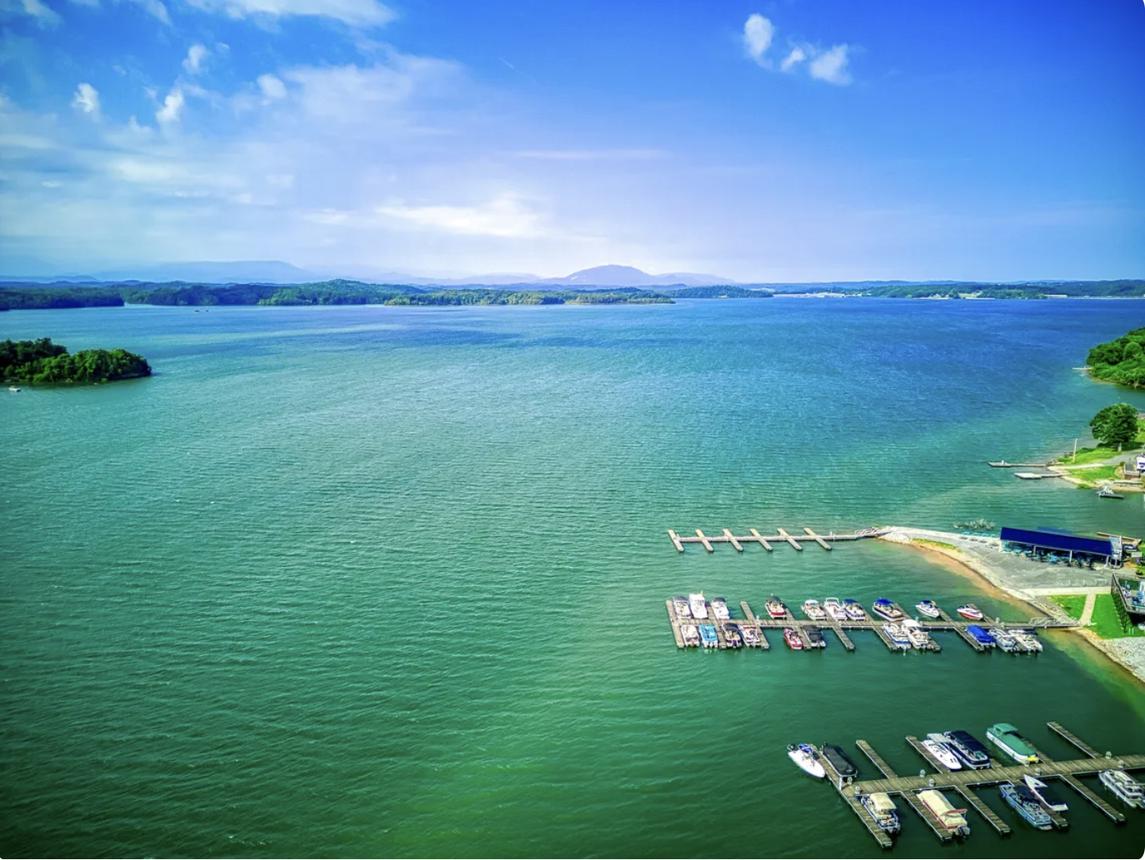 What's Your Hurry - New Listing