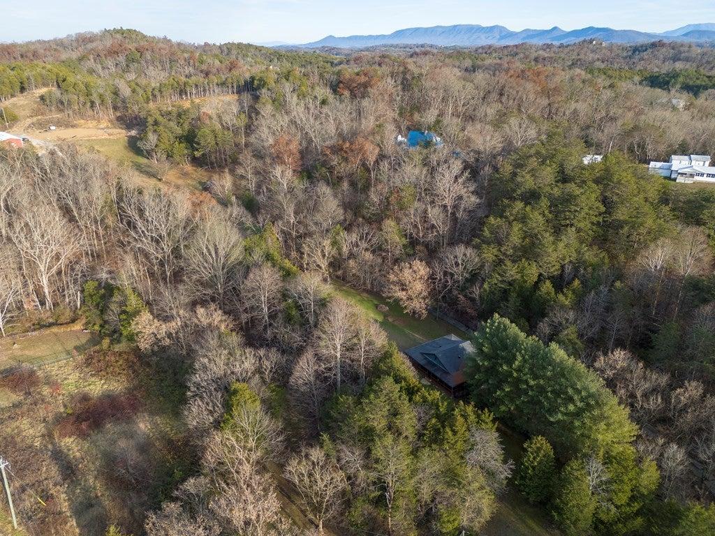 Spirit Bear Cabin - New Listing