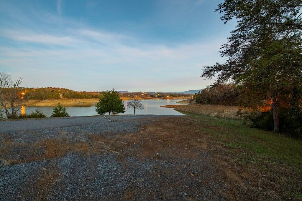 Spirit Bear Cabin - New Listing