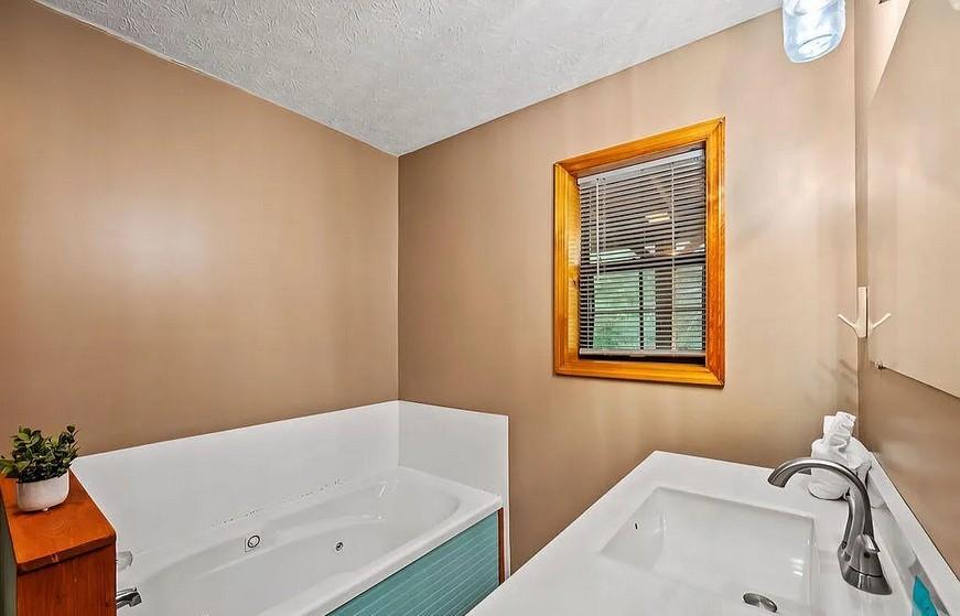 Spirit Bear Cabin - New Listing