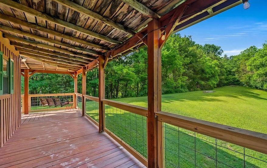 Spirit Bear Cabin - New Listing