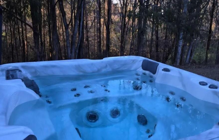 Spirit Bear Cabin - New Listing