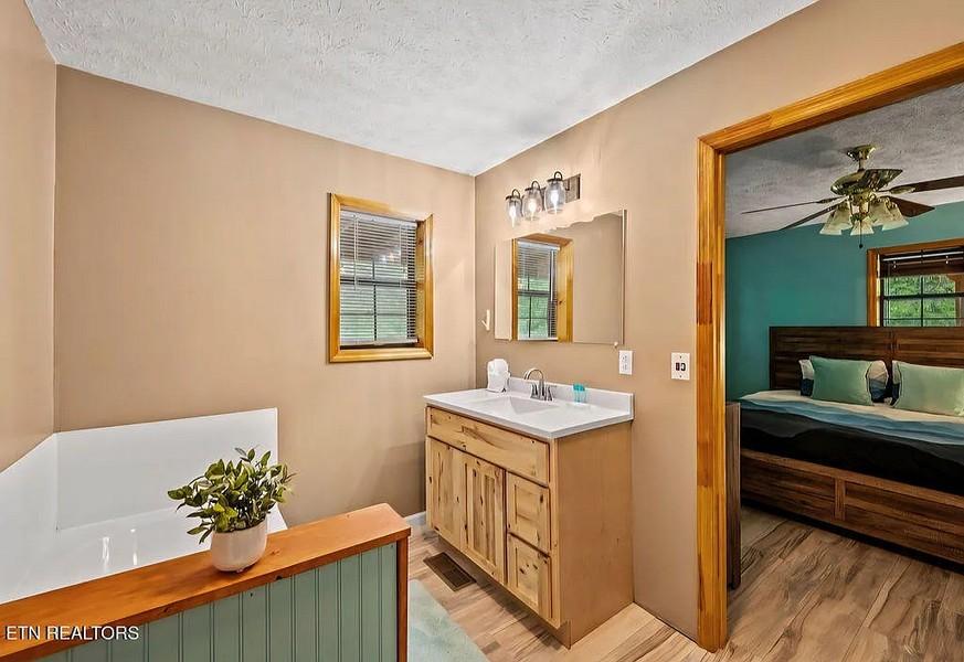 Spirit Bear Cabin - New Listing