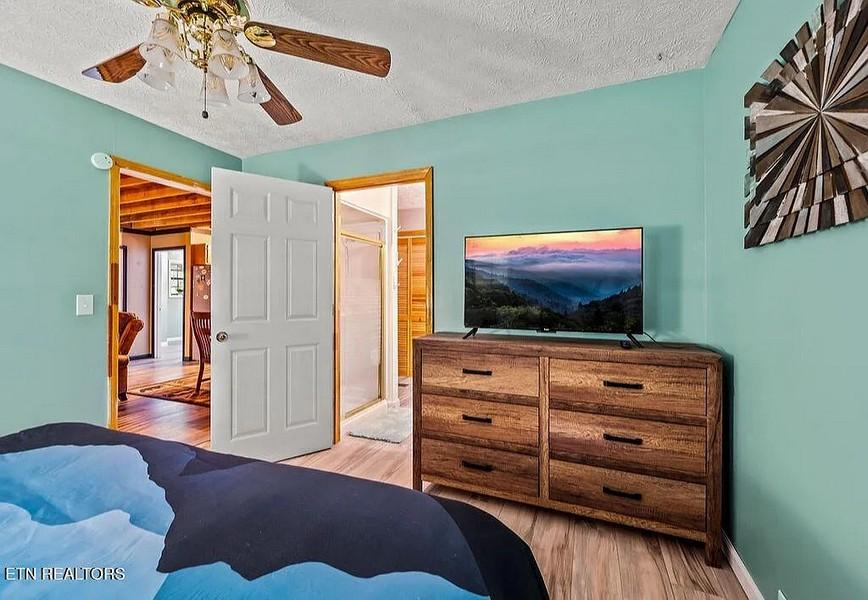 Spirit Bear Cabin - New Listing