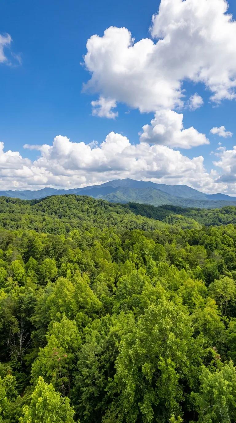 Mountain Vista - New Listing