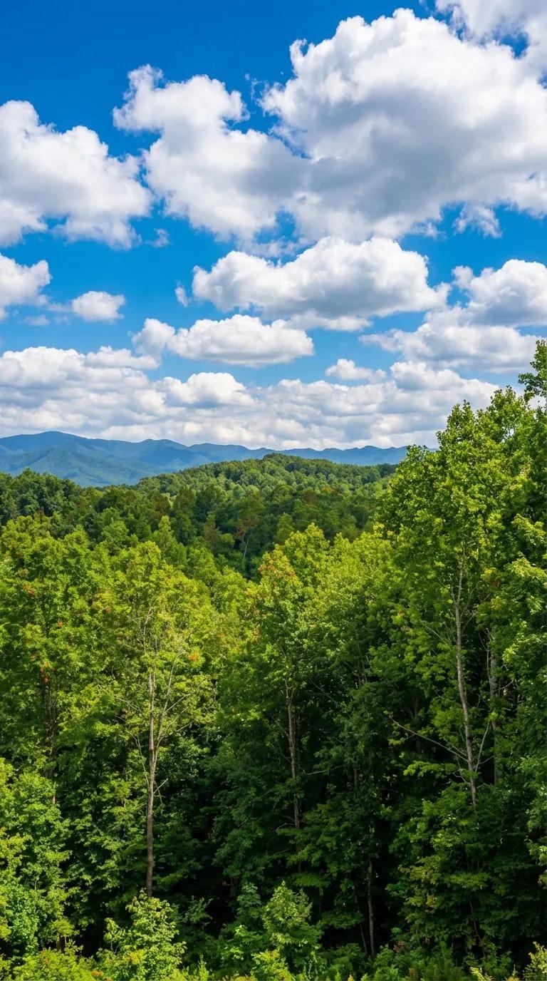 Mountain Vista - New Listing