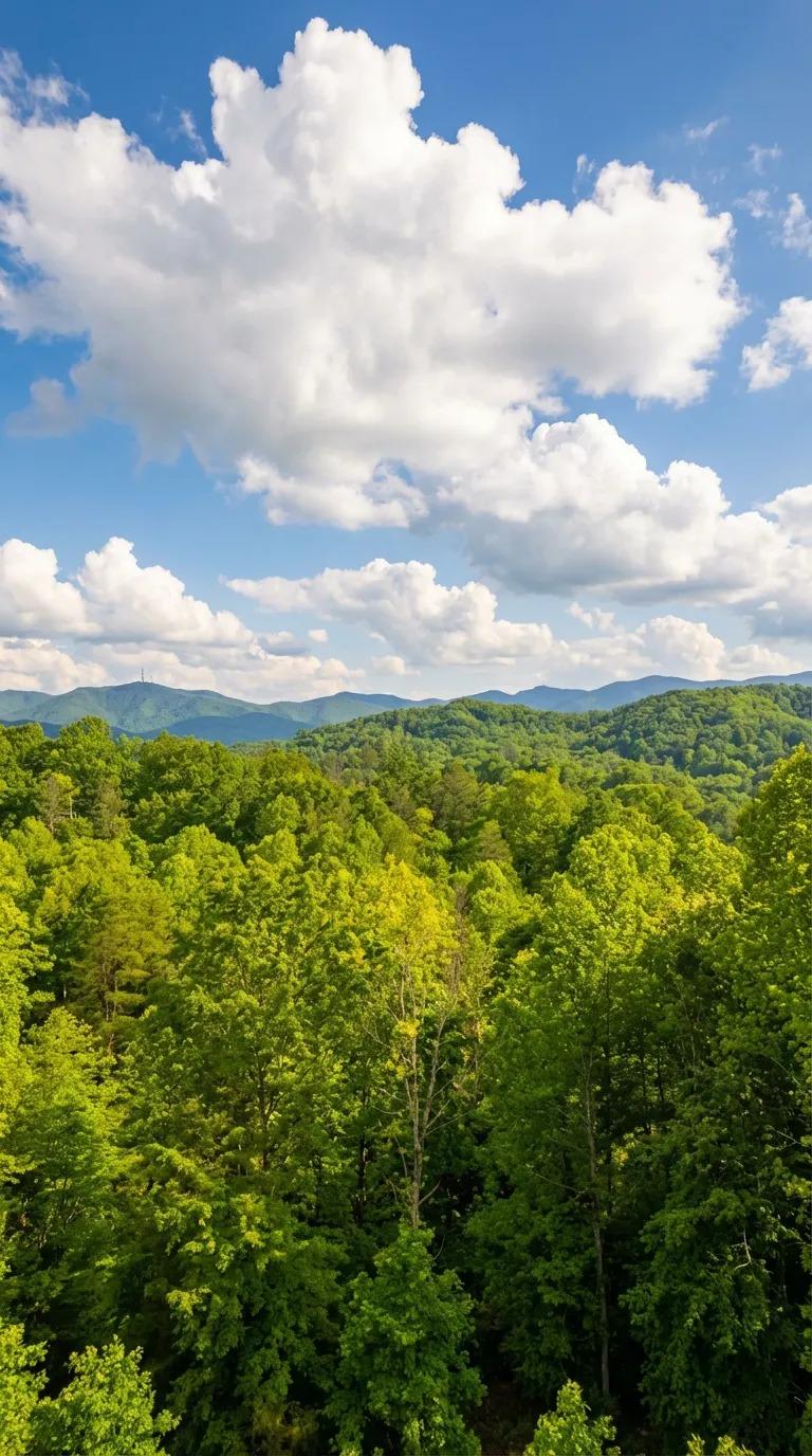 Mountain Vista - New Listing