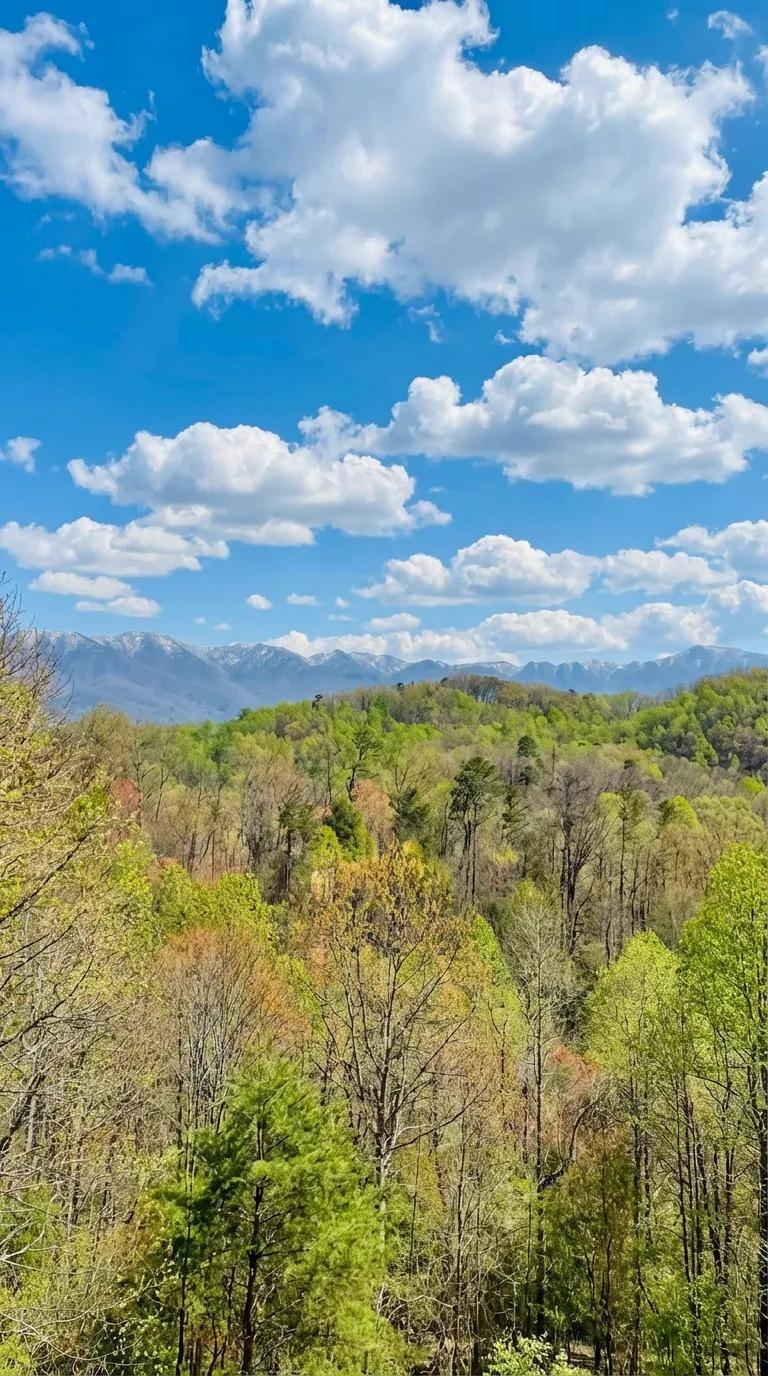 Mountain Vista - New Listing