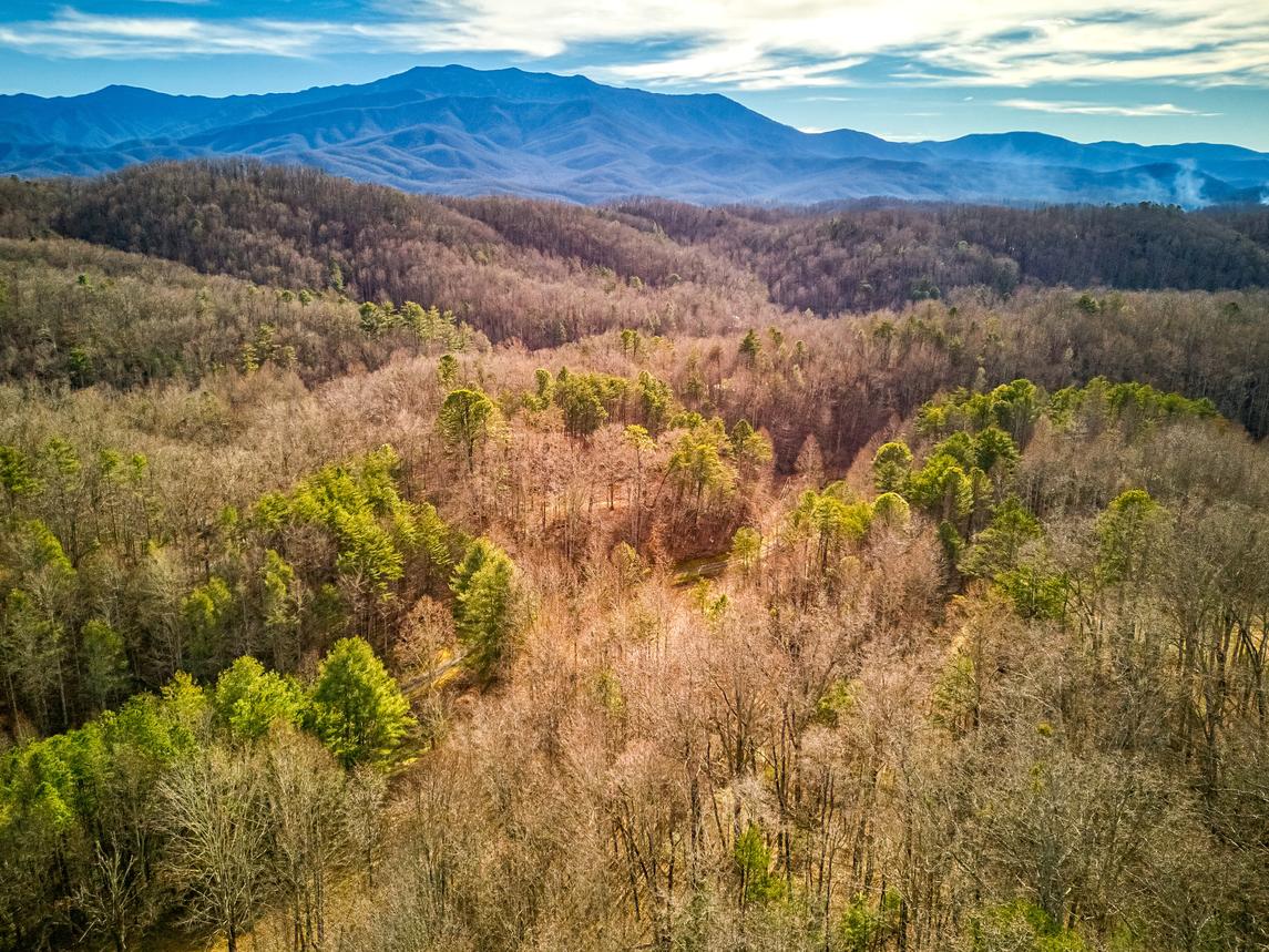 Mountain Vista - New Listing