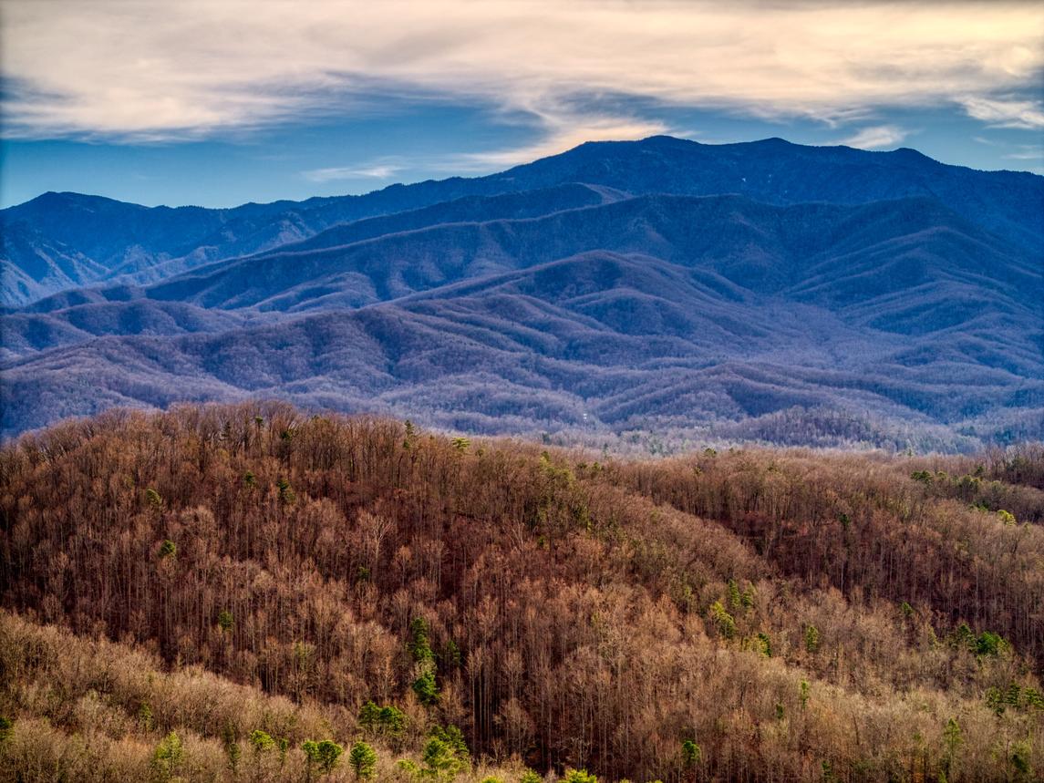 Mountain Vista - New Listing