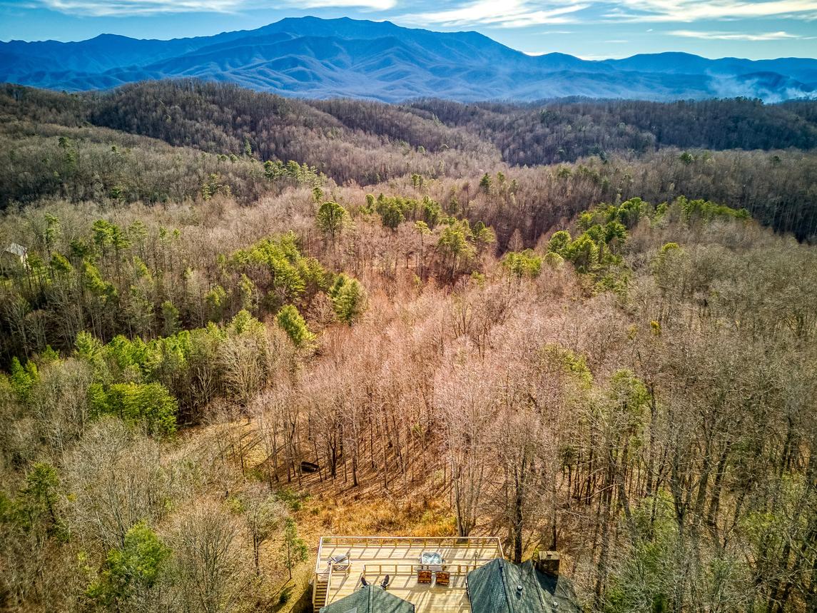 Mountain Vista - New Listing