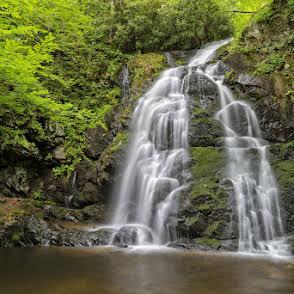 Peaceful Cabin - New Listing