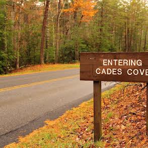 Longview Lodge - New Listing