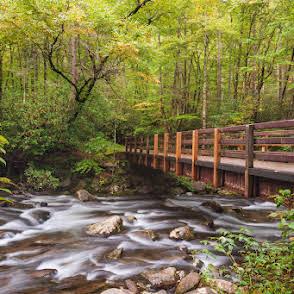 Longview Lodge - New Listing