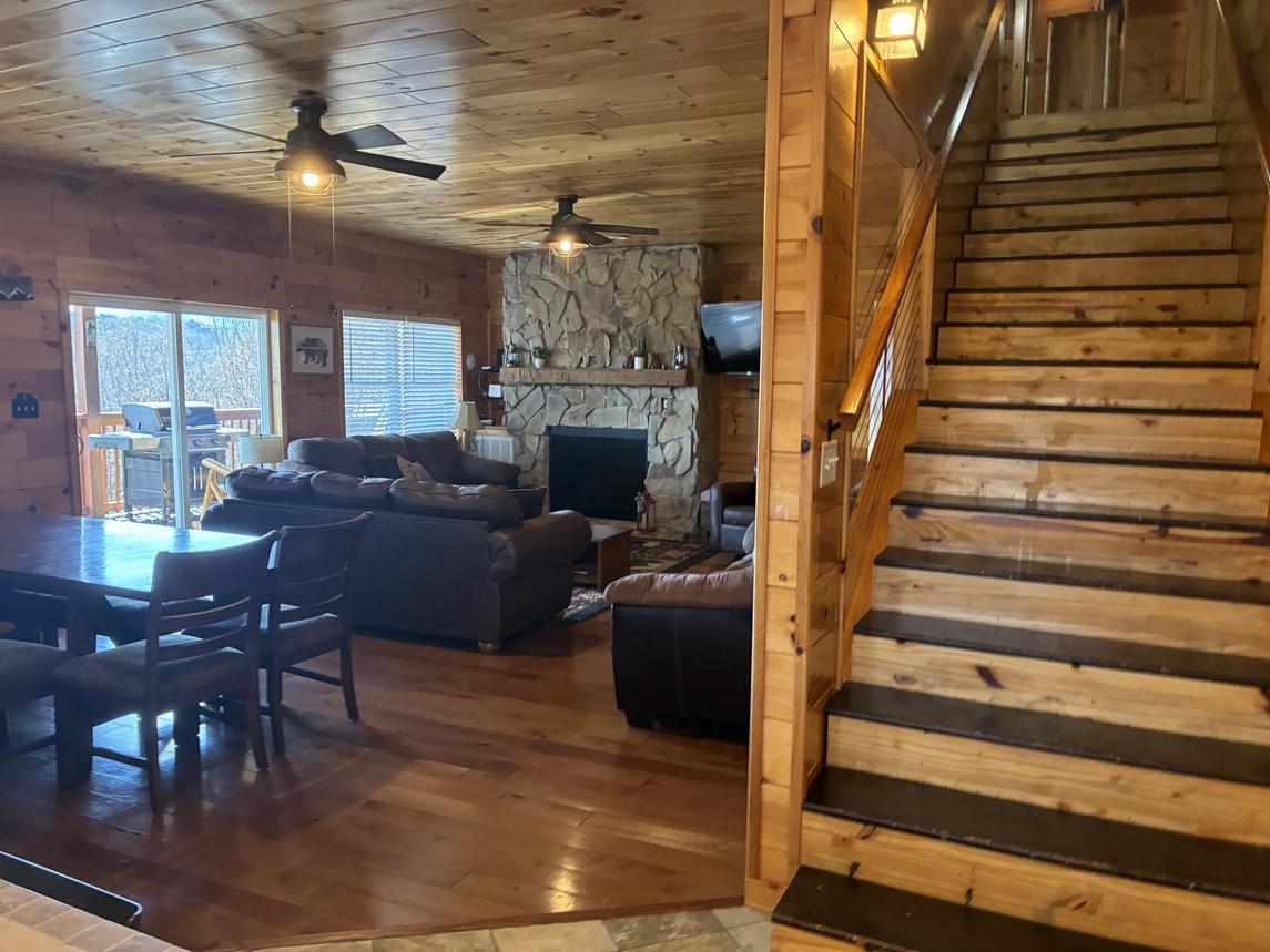 Beartastic Mountain View Lodge - New