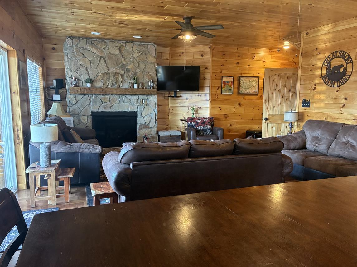 Beartastic Mountain View Lodge - New