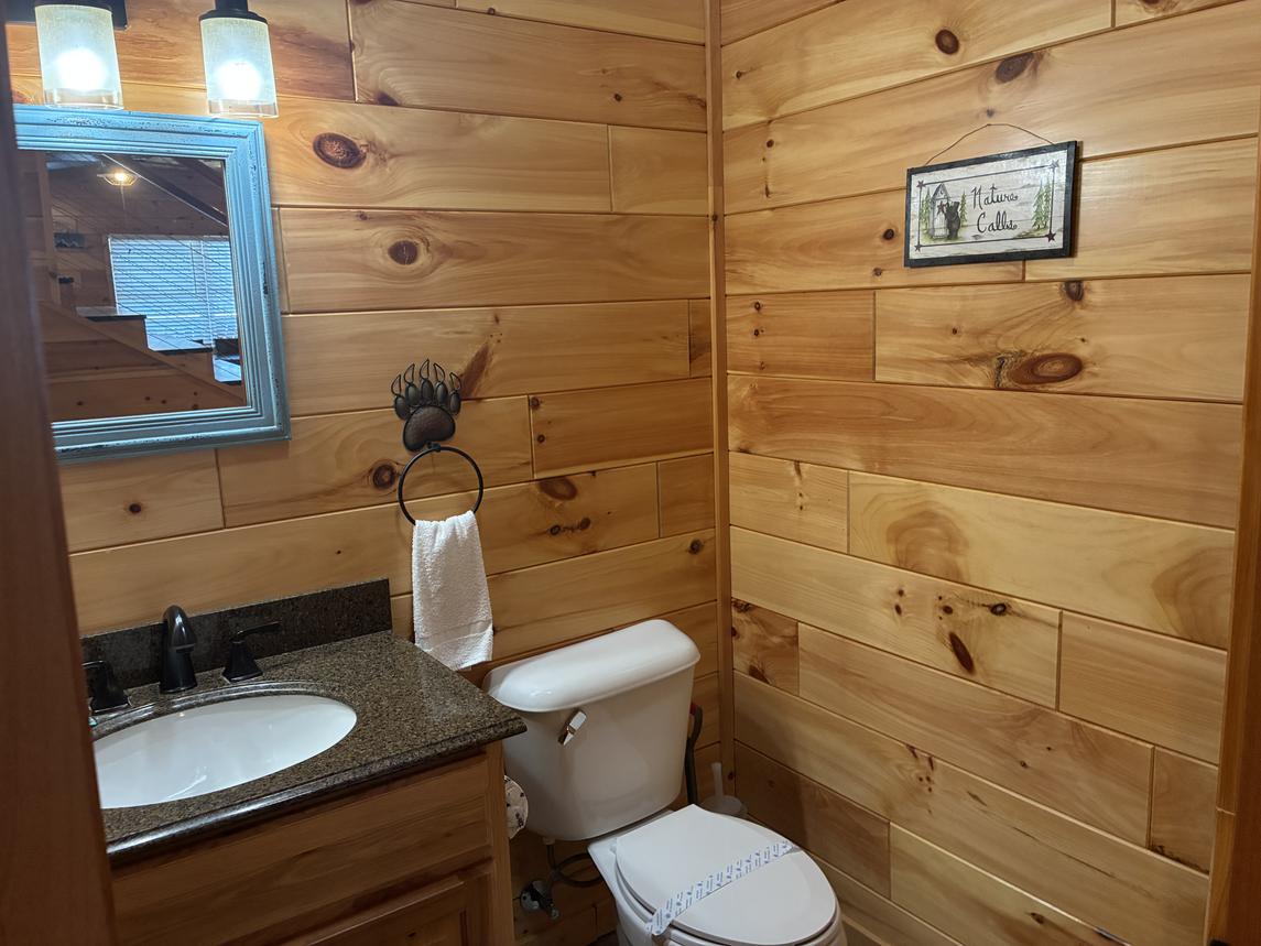 Beartastic Mountain View Lodge - New