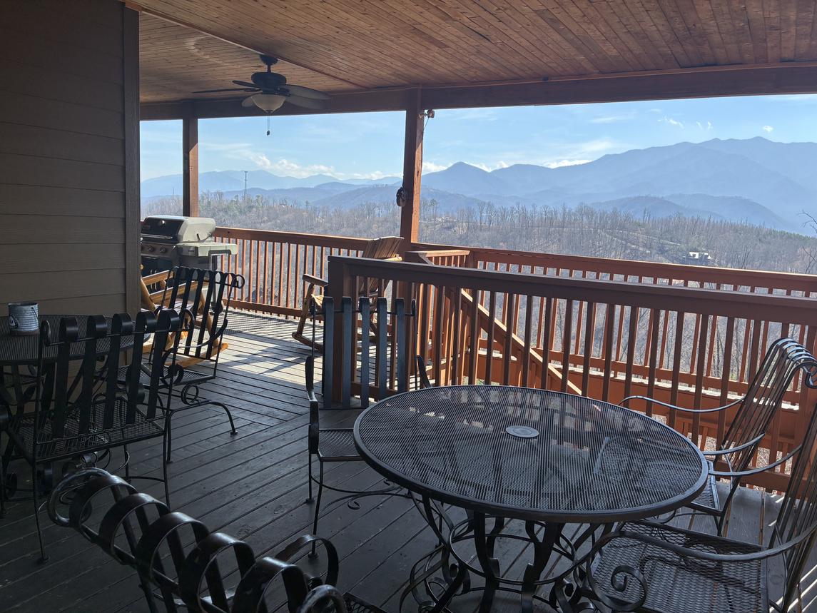 Beartastic Mountain View Lodge - New