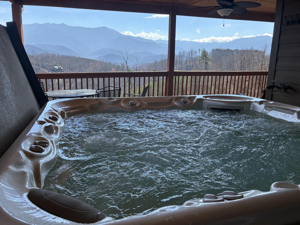 Beartastic Mountain View Lodge - New