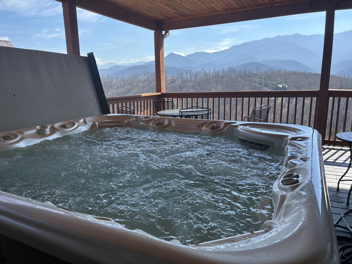 Beartastic Mountain View Lodge - New