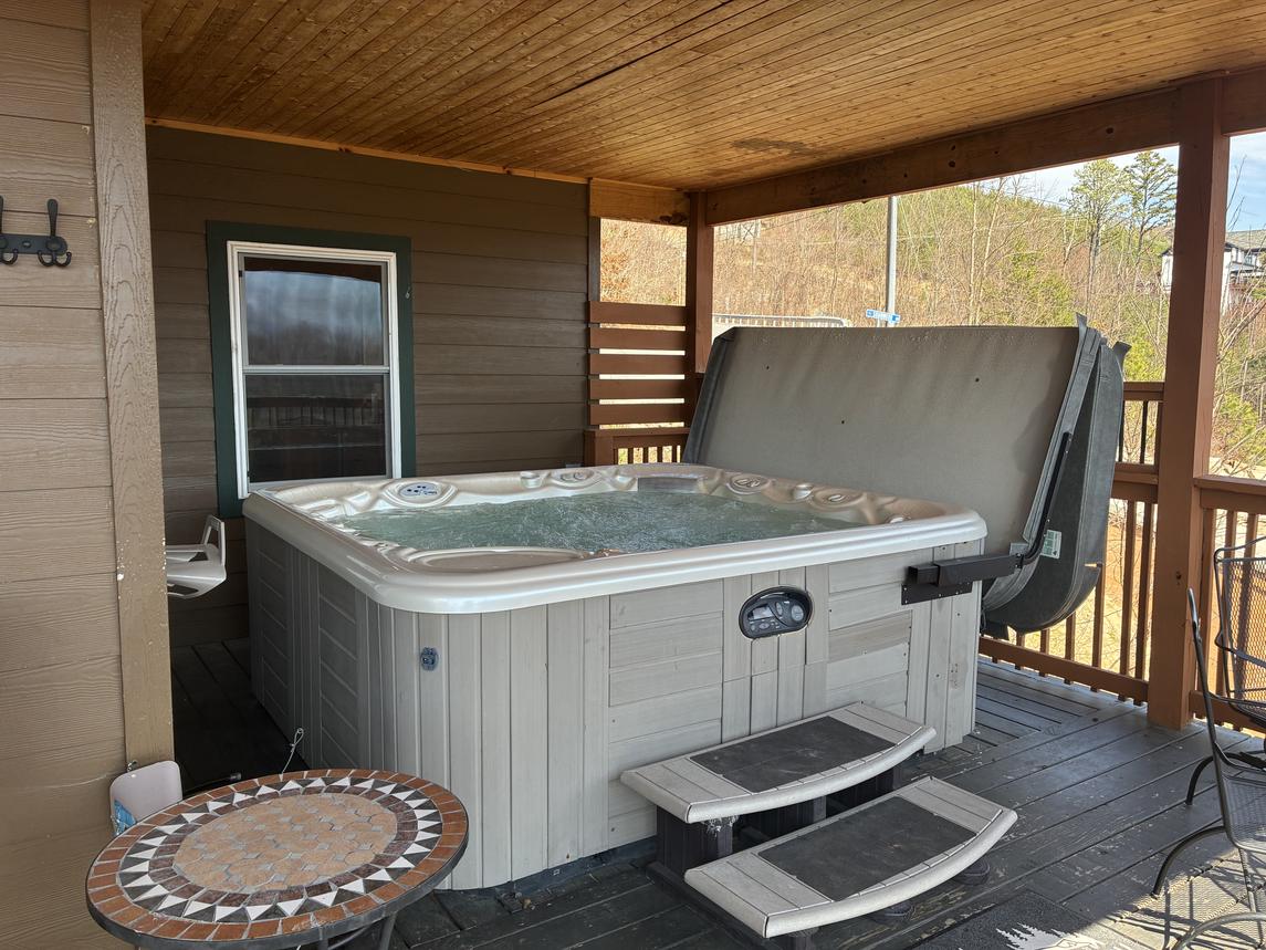 Beartastic Mountain View Lodge - New