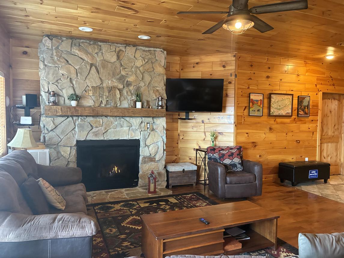 Beartastic Mountain View Lodge - New